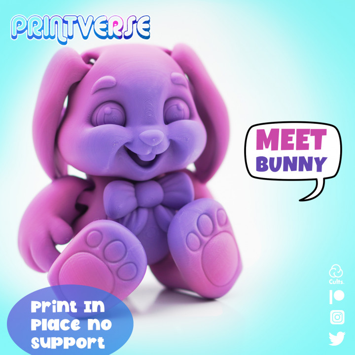 Flexy Honey Bunny Duo Print In Place image