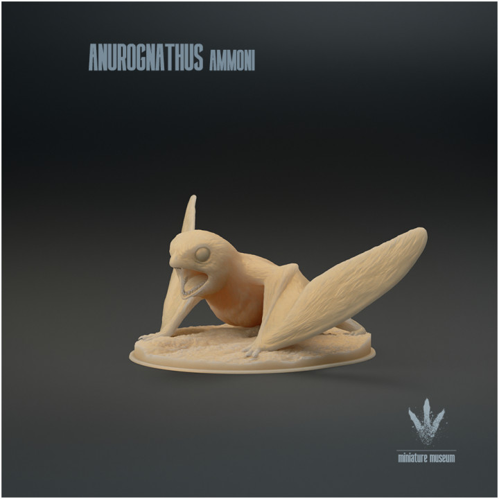 Anurognathus ammoni : The Miniature Pterosaur image