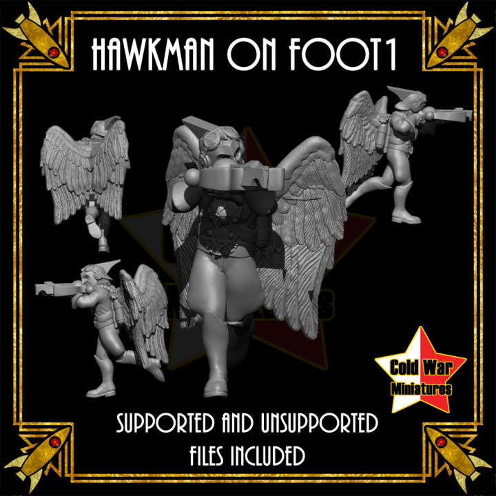 Hawkman on Foot 1