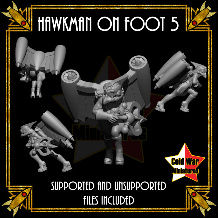 Hawkman on Foot 5 image