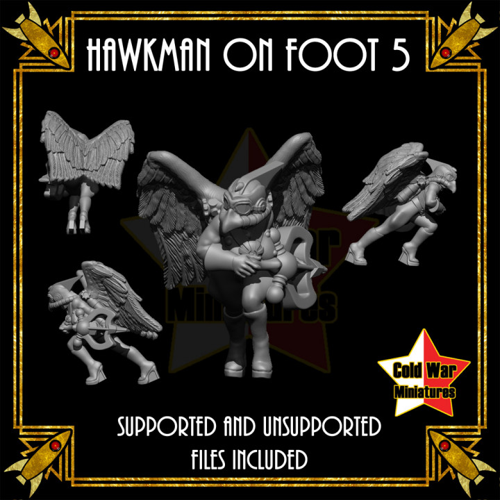Hawkman on Foot 5