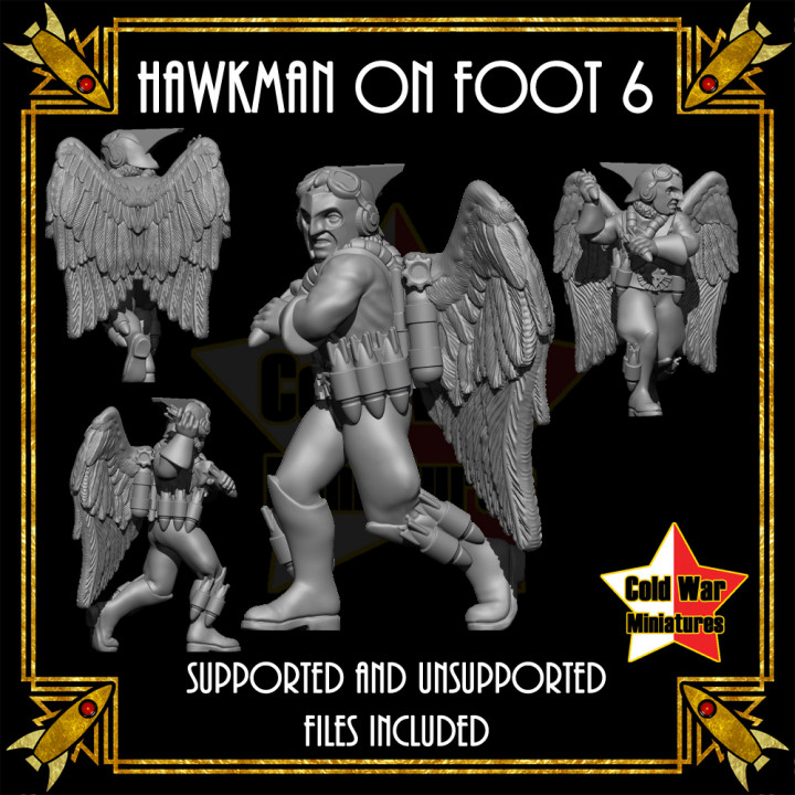 Hawkman on Foot 6