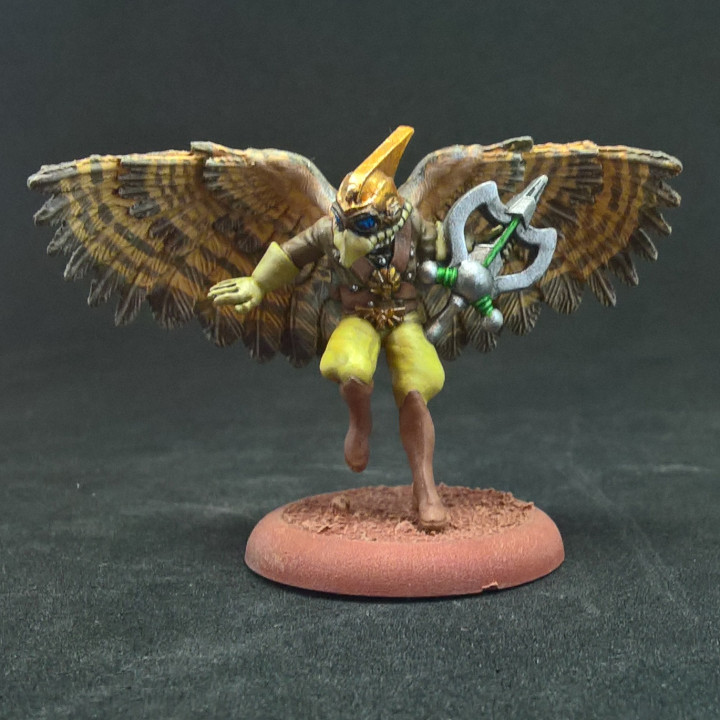 Hawkman on Foot 2