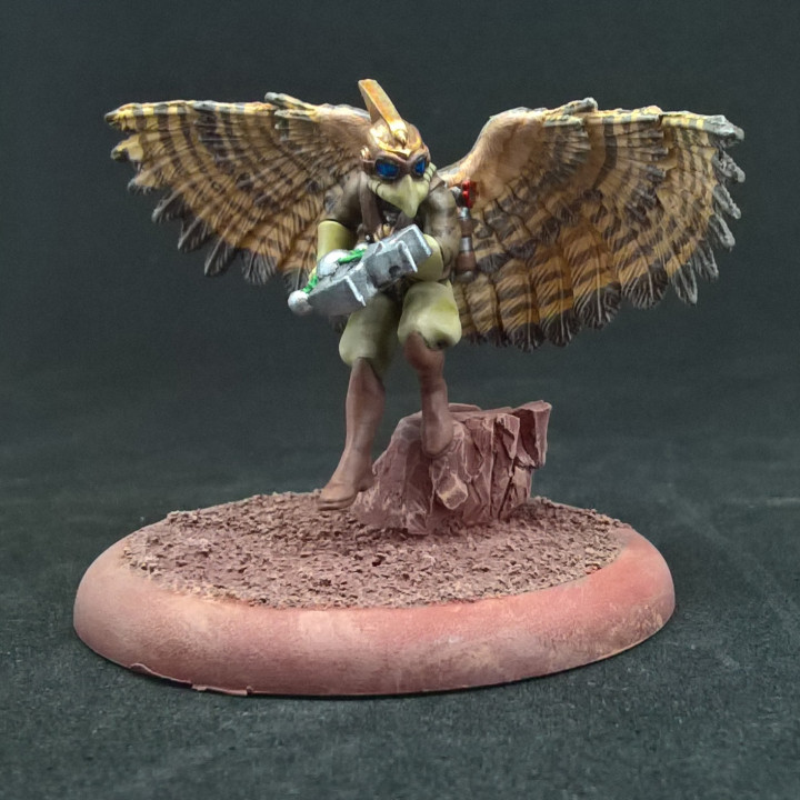 Hawkman on Foot 3
