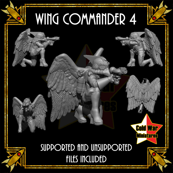 Wing Commander 4 image