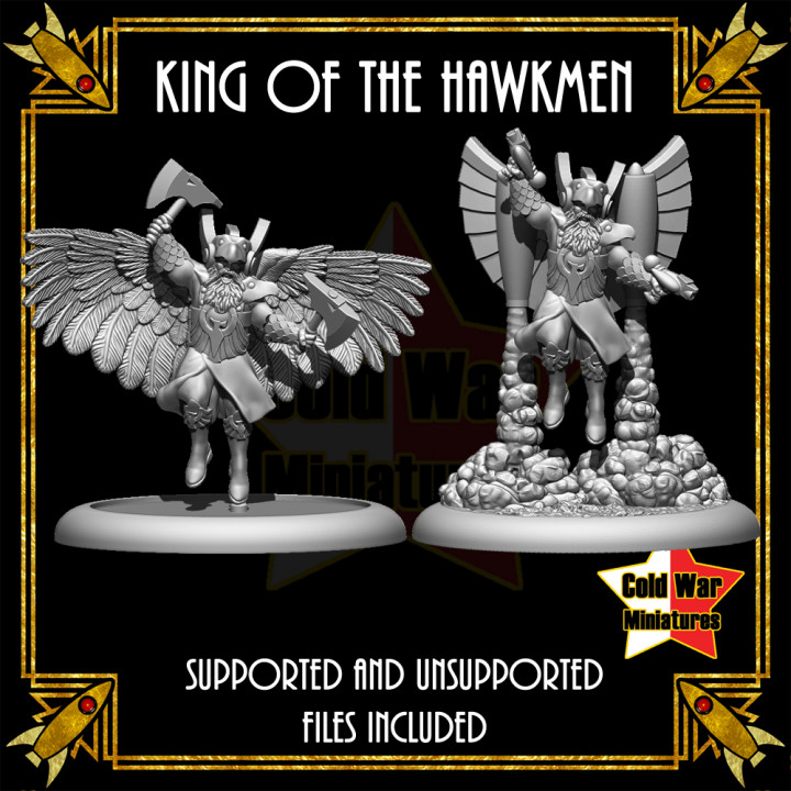 King of the Hawkmen image