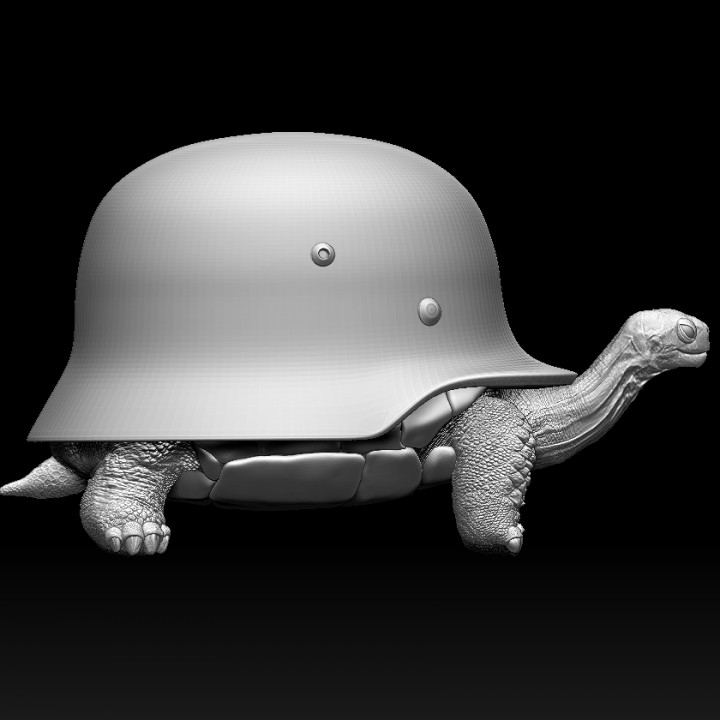turtle helmet