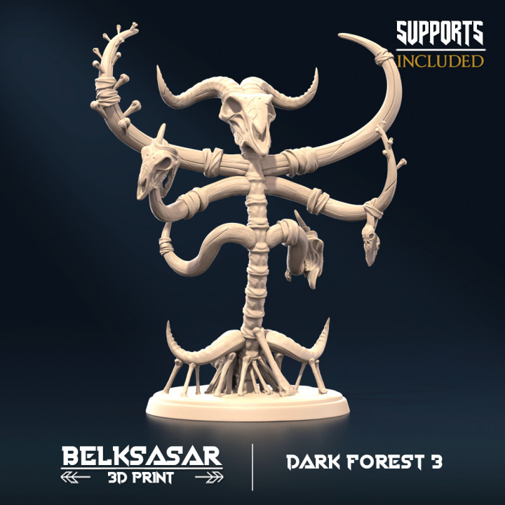 Dark Forest 3 - Arcanist image