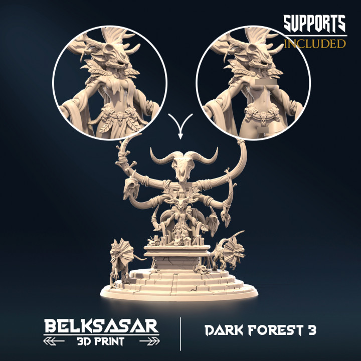 Dark Forest 3 - Arcanist image