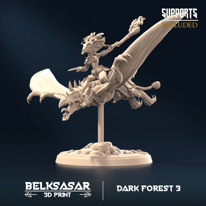Dark Forest 3 - Crusader image