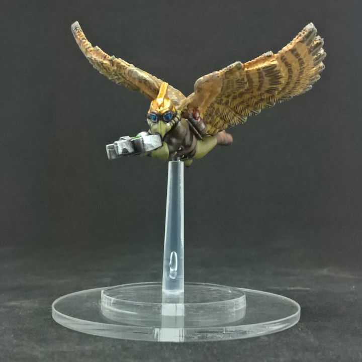 Flying Hawkman 1