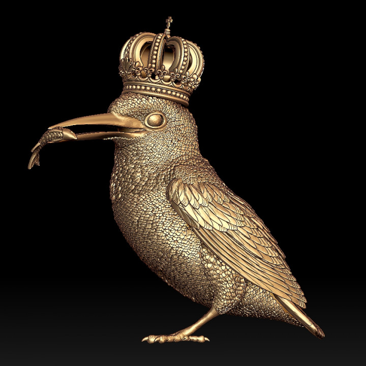 Kingfisher bird image