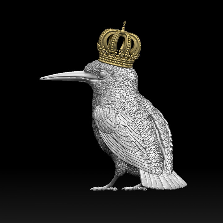 Kingfisher bird image