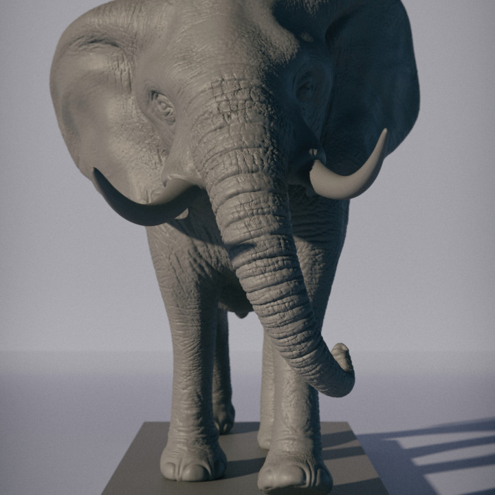 elephant 3d view in my space online free