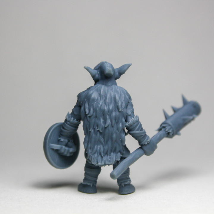 Frostmire Goblins - Warrior A image