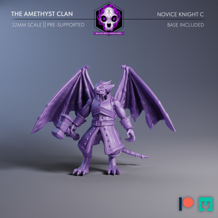 The Amethyst Clan | Novice Knight C image