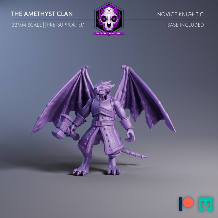 The Amethyst Clan | Novice Knight C