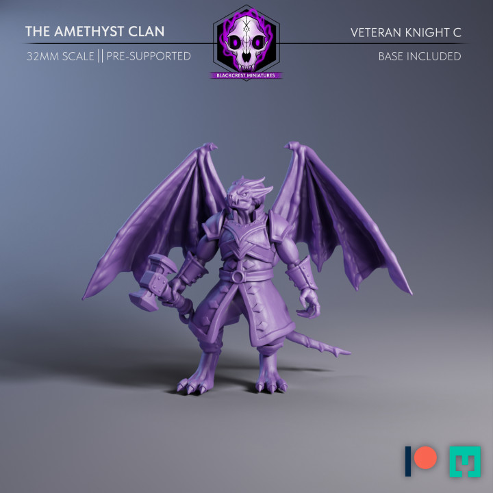 The Amethyst Clan | Veteran Knight C