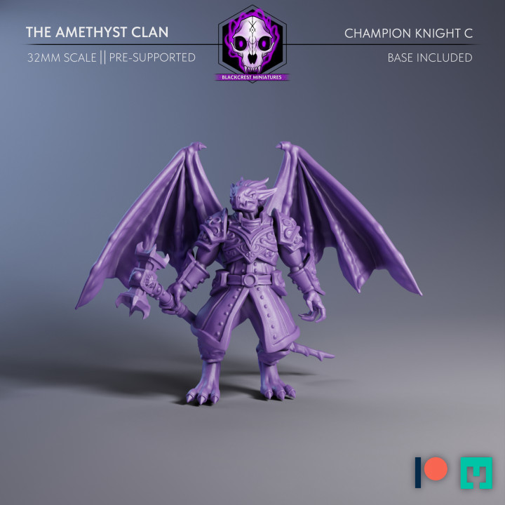 The Amethyst Clan | Champion Knight C image