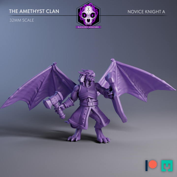 The Amethyst Clan | Novice Knight A (Unsupported) image