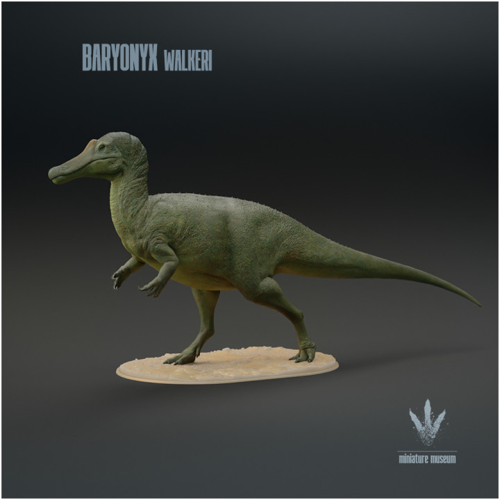 Baryonyx walkeri : The Heavy Claw