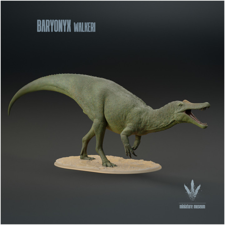 Baryonyx walkeri : Vocalizing