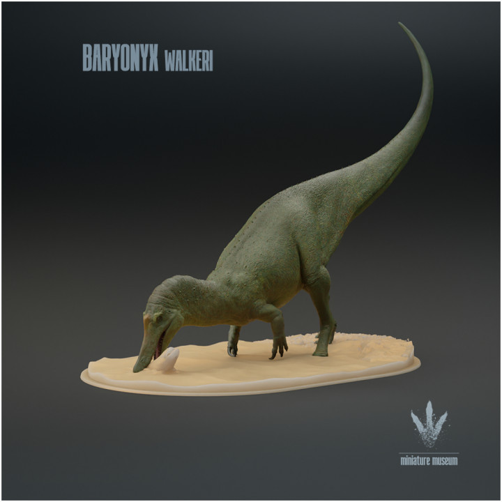 Baryonyx walkeri : Feeding