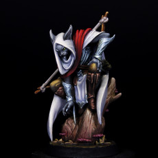 Picture of print of Tabaxi Ranger