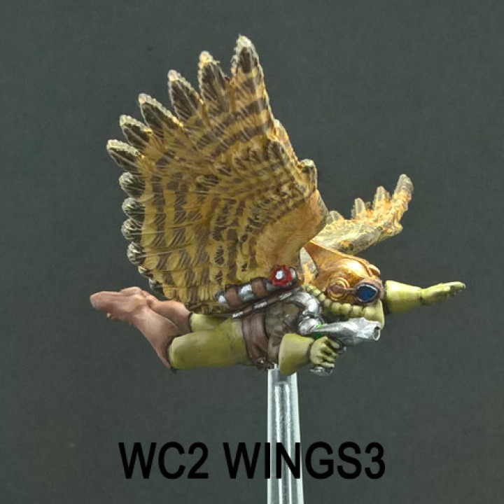 Hawkman Flying Squad Bundle image
