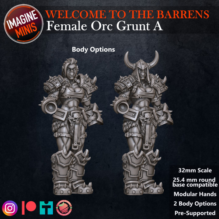 Welcome to the Barrens - Female Orc Grunt A image