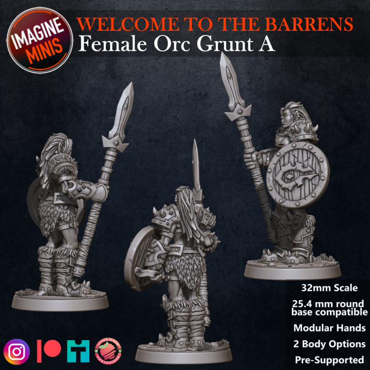 Welcome to the Barrens - Female Orc Grunt A image