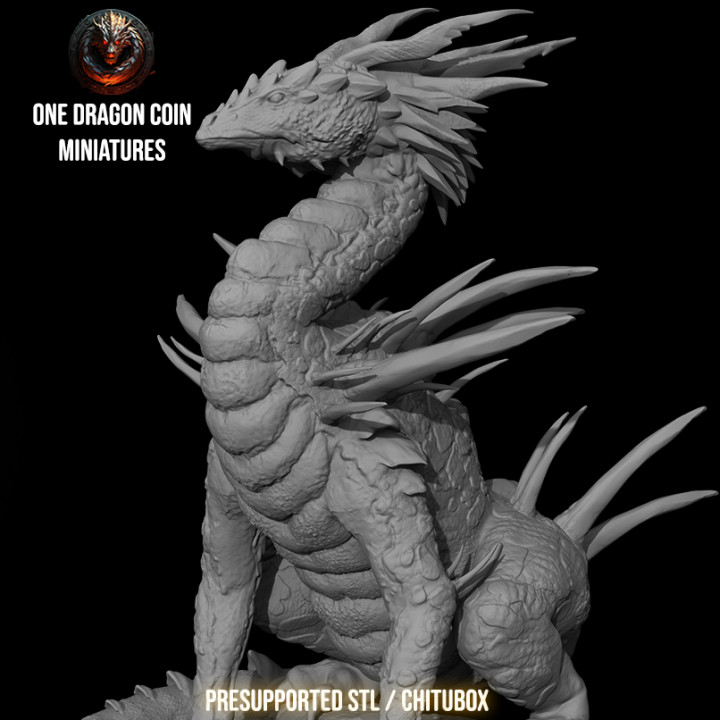 Draconomicon Year One Dragon Collection image