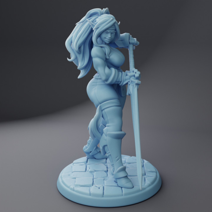 Sybil the Elf Warrior image