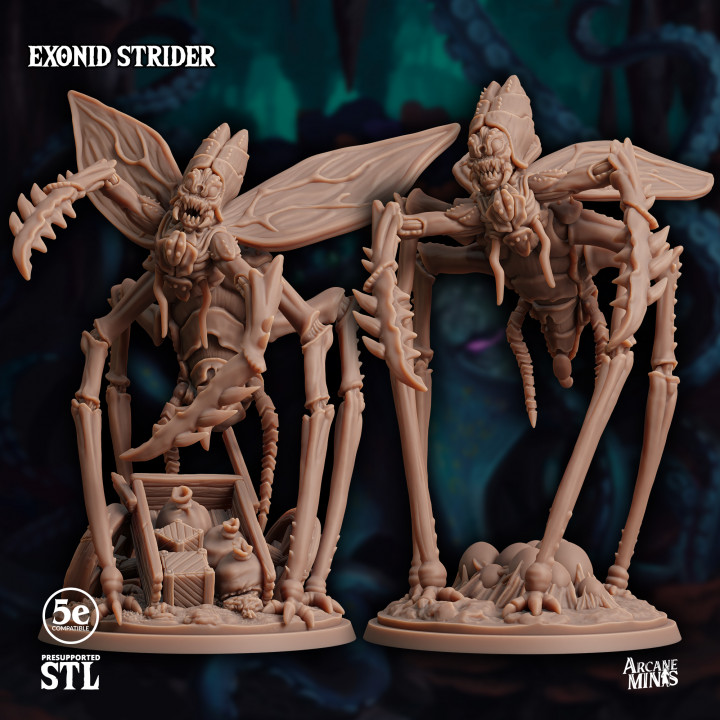 Exonid Strider