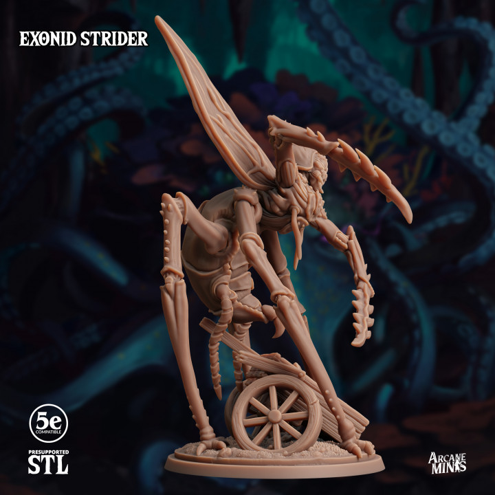 Exonid Strider image