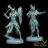 Knights of Lyra, Modular Miniature, 24 Variants print image
