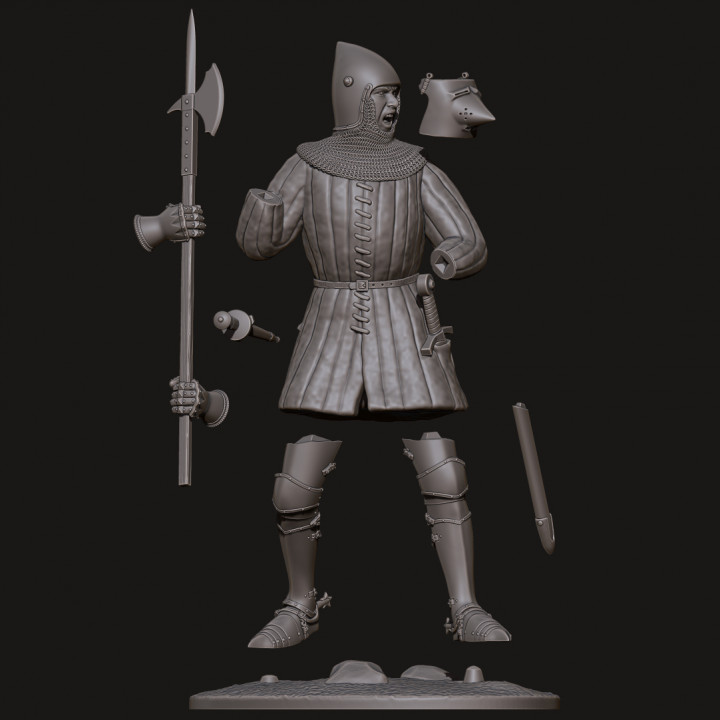 14th Century Knight with Hounskull Helmet image