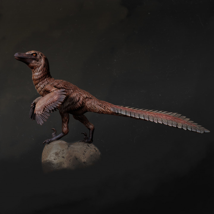 Velociraptor looking 1-20 scale pre-supported dinosaur FREE model