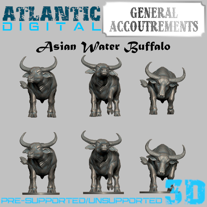 Asian Water Buffalo image