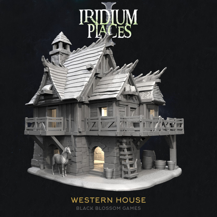 IDP01S05 Western House :: Iridium Places 1 :: Black Blossom Games image