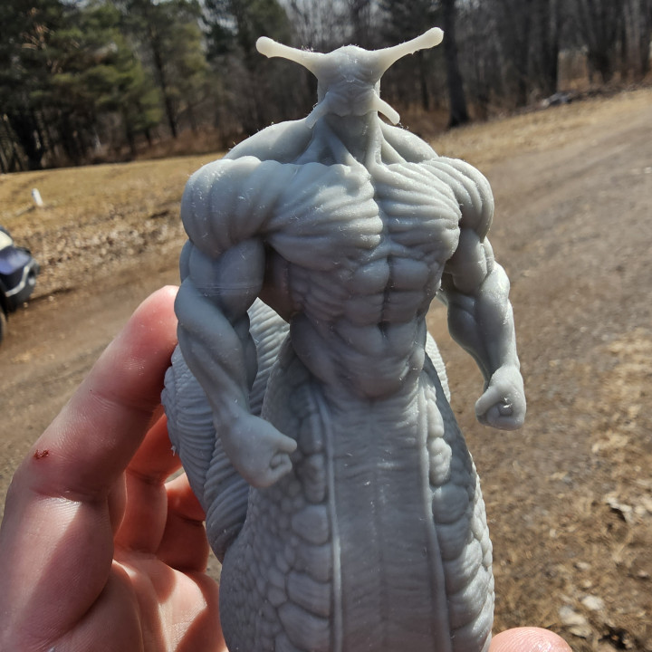 Buff snail
