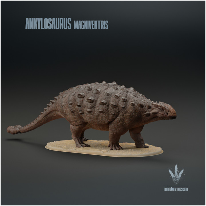 Ankylosaurus magniventris : The Stiff Lizard image