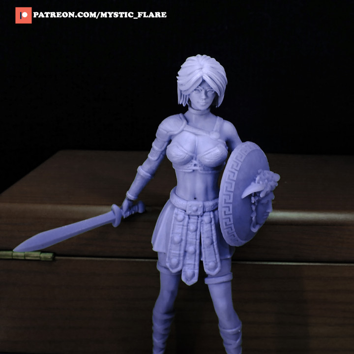 Gladiator Girl Warrior image