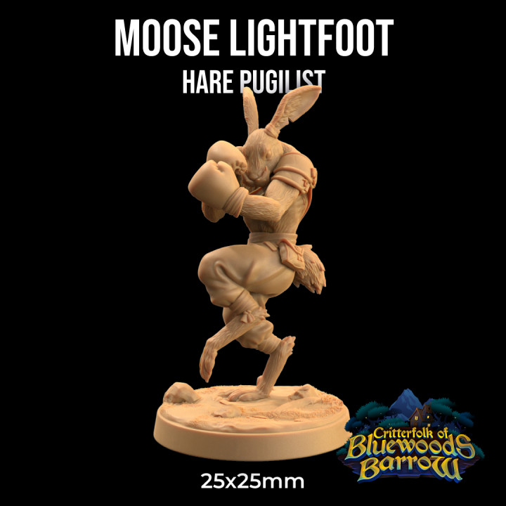 Moose Lightfoot, Hare Pugilist  | PRESUPPORTED | The Critterfolk of Bluewoods Barrows image