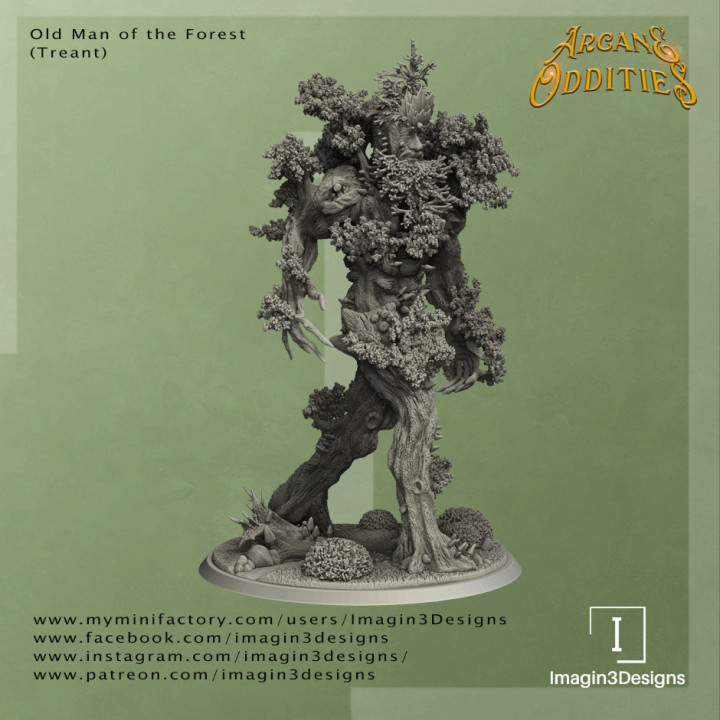 Old Man of the Forest (Treant) image