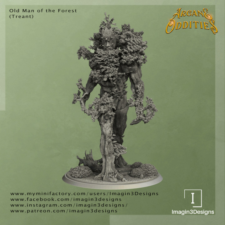 Old Man of the Forest (Treant) image