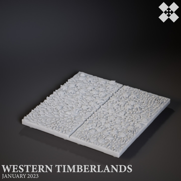 Western Timberlands Floors image