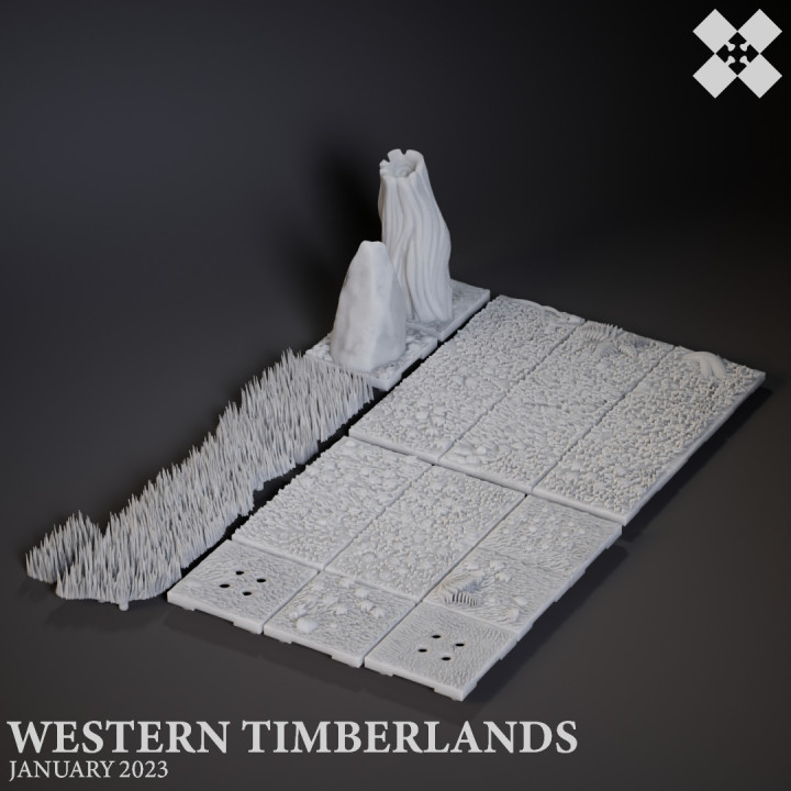 Western Timberlands Floors image