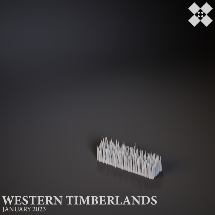 Western Timberlands Floors image