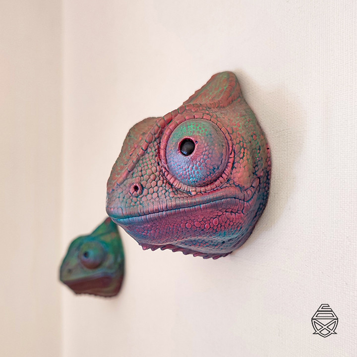 Wall Chameleon image